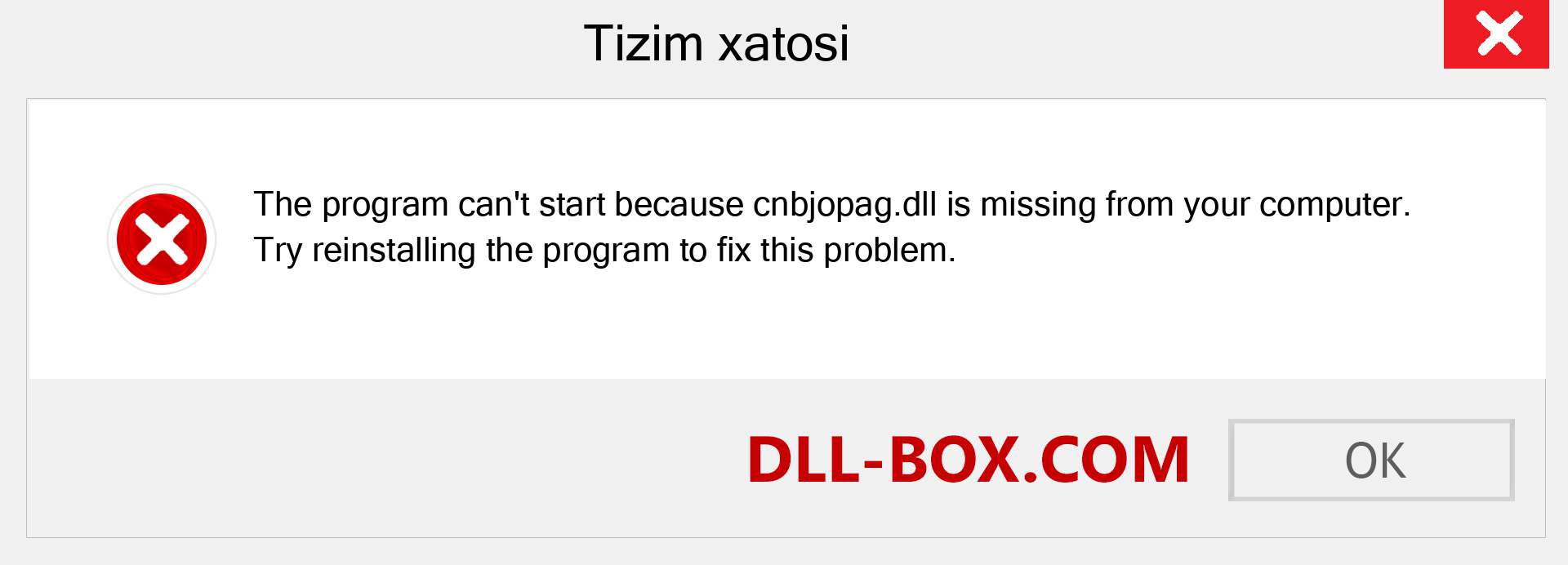 cnbjopag.dll fayli yo'qolganmi?. Windows 7, 8, 10 uchun yuklab olish - Windowsda cnbjopag dll etishmayotgan xatoni tuzating, rasmlar, rasmlar